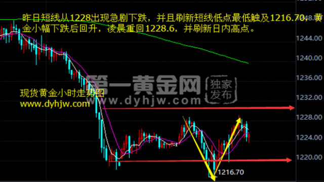 黄金行情走势图今日分析及解读