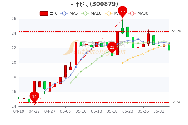 大叶股票最新消息深度解读与分析