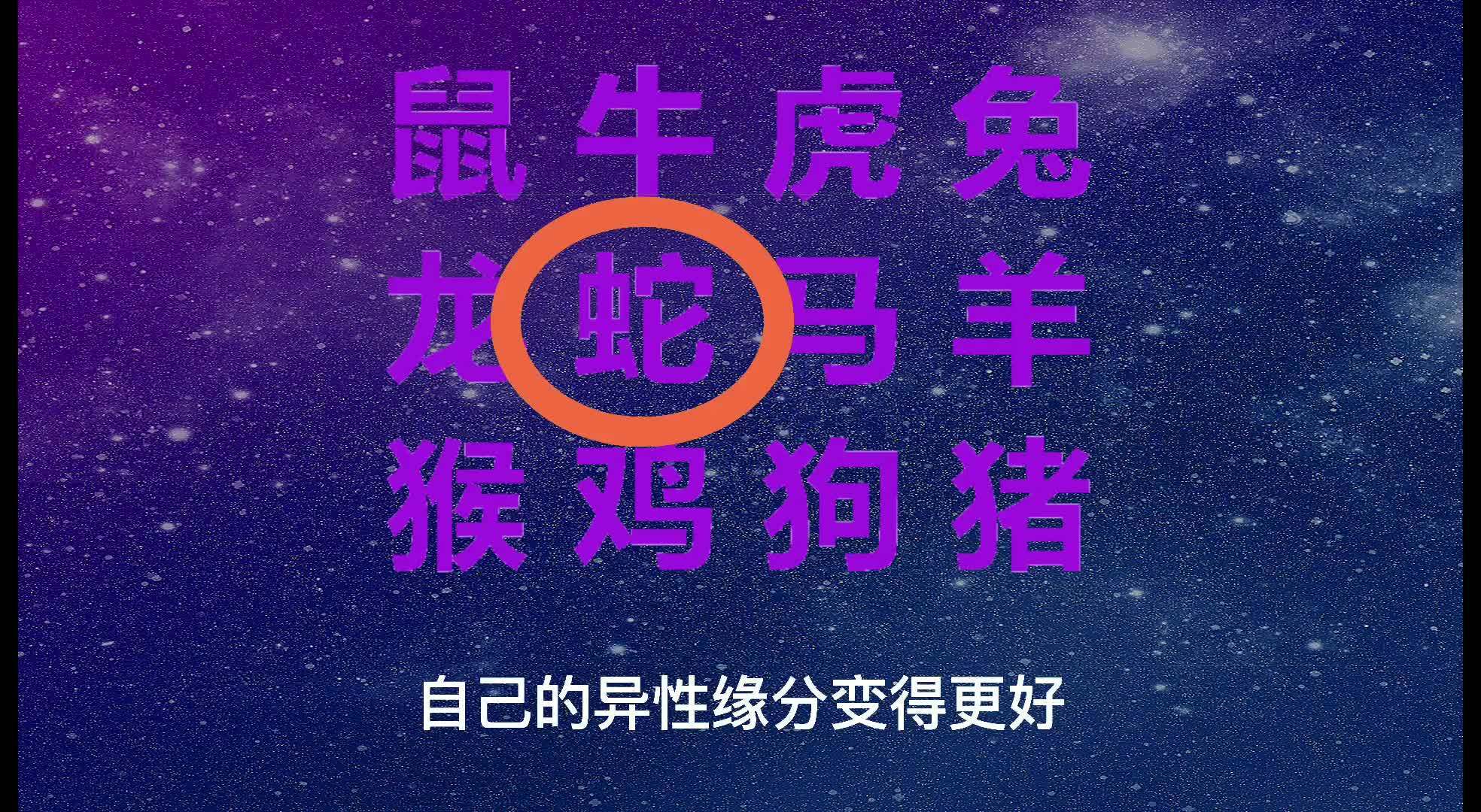 2024澳门今天晚上开什么生肖啊,最新正品解答落实_领航版26.885