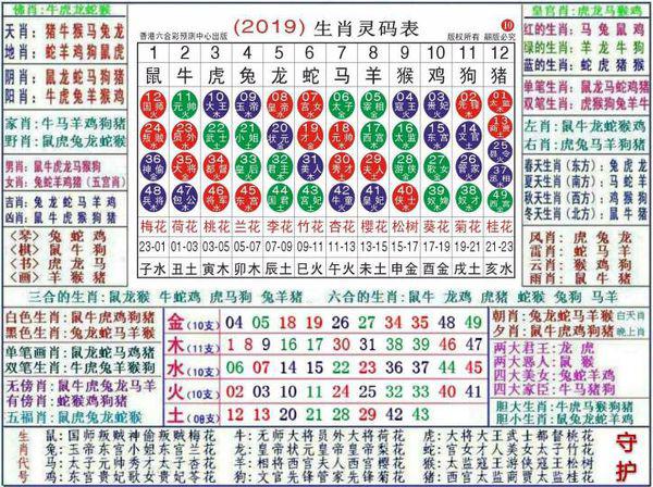 澳门正版资料大全资料生肖卡,经典案例解释定义_特别版2.446