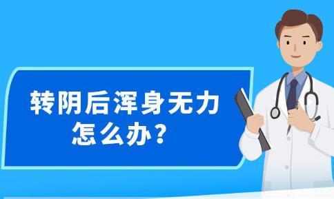 新澳精准资料免费大全,数据资料解释落实_SHD41.52