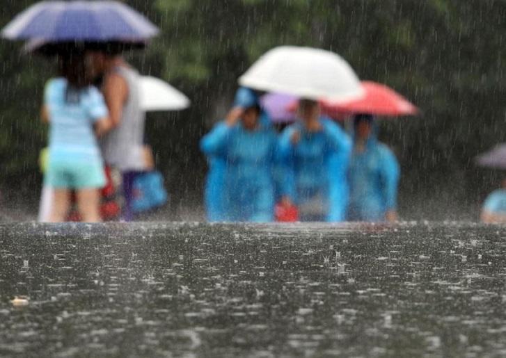 零点吧直播，探索新时代直播文化的独特魅力之旅