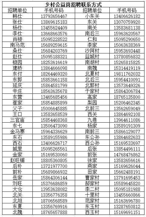 郯城最新招聘动态，探索未来职业机遇的门户（2024年）