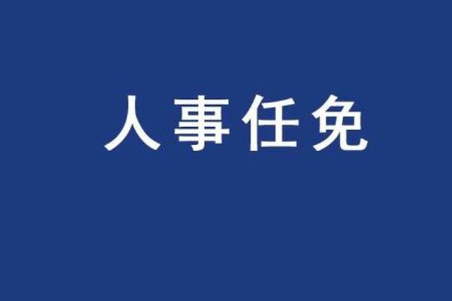 谢来发最新动态，揭秘成功背后的秘密面纱