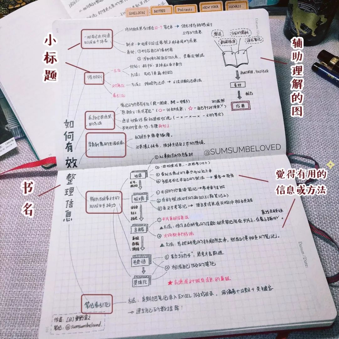 权国最新章节概述概览