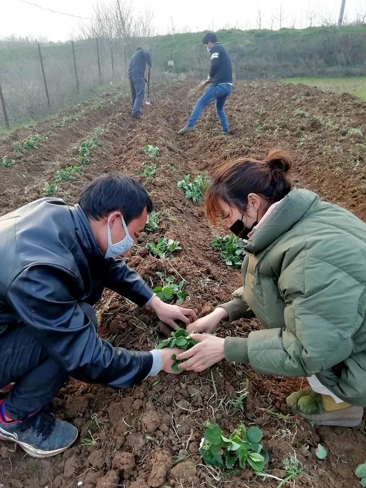 十堰最新招工信息汇总，职业发展的优质选择