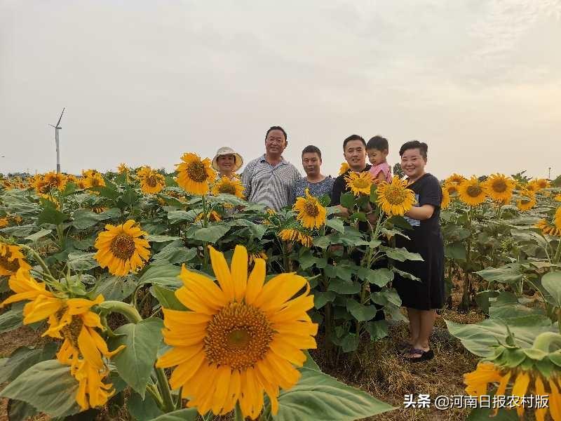 滑县梦想城未来繁荣揭秘，最新动态与前景展望