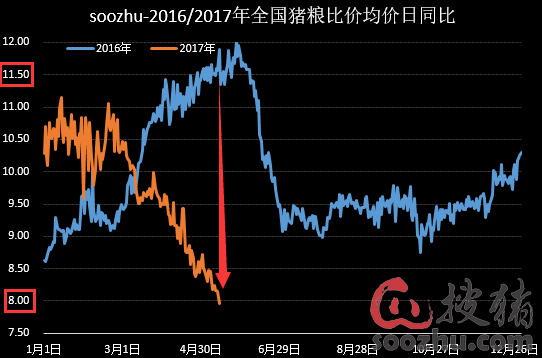 冯冯永辉最新分析，中国猪价走势及影响因素探讨